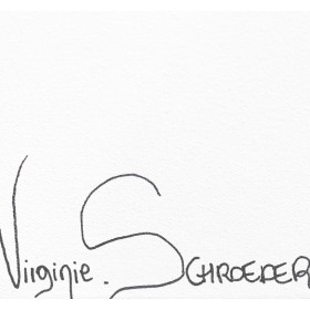 Peinture sculpture sur toile, œuvre unique et originale création de Virginie SCHROEDER artiste internationale